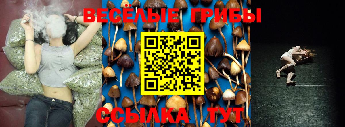 Псилоцибиновые грибы Psilocybe Лыткарино